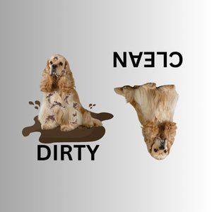 COCKER SPANIEL Clean Dirty Dishwasher Flexible Magnet